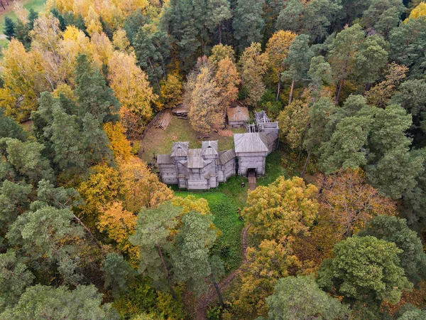 秋の森にある木造の城 — ストック写真