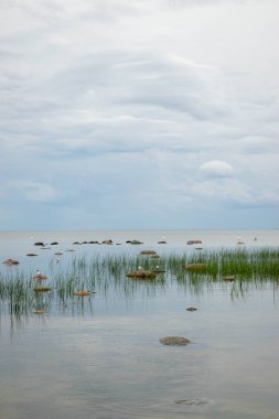 Güzel Baltık Denizi kıyısında
