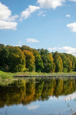 Nehir kıyısında sonbahar orman