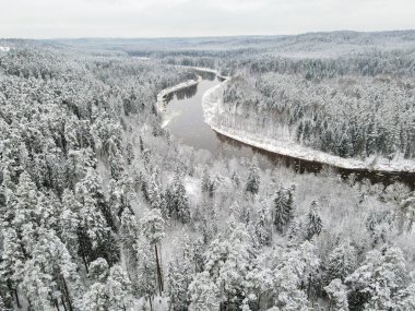 Kışın güzel nehir ve orman