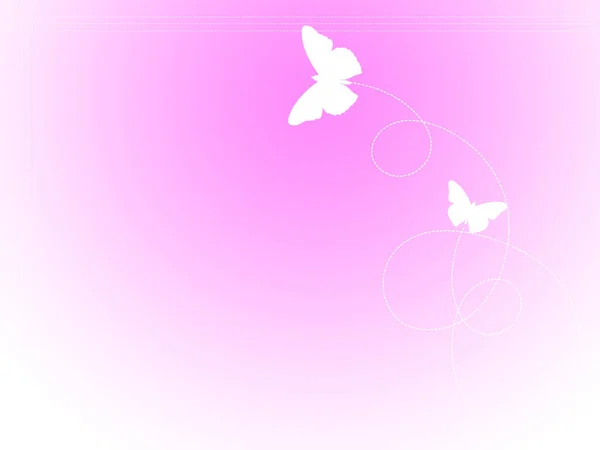 Красивий Метелик Рожевому Фоні — стокове фото