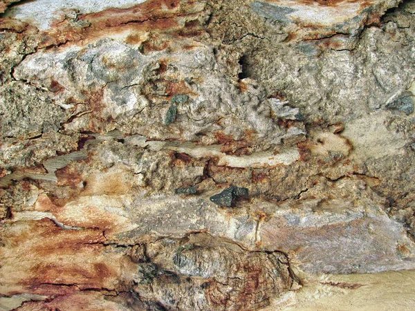 Steen Textuur Rots Achtergrond Kopieer Ruimte — Stockfoto