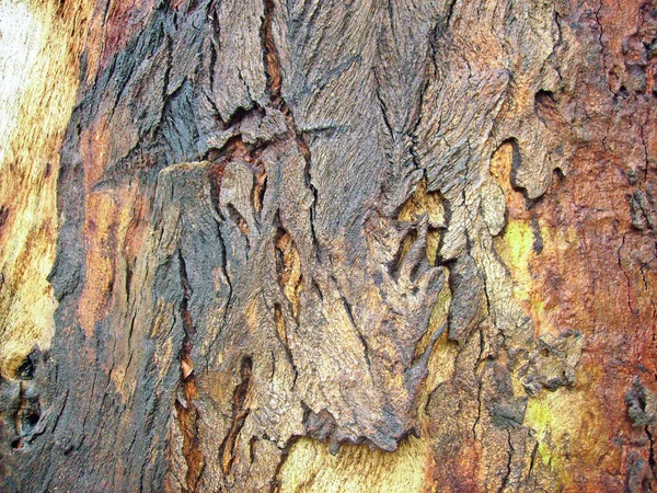 Stare Drewno Tekstury Tła — Zdjęcie stockowe
