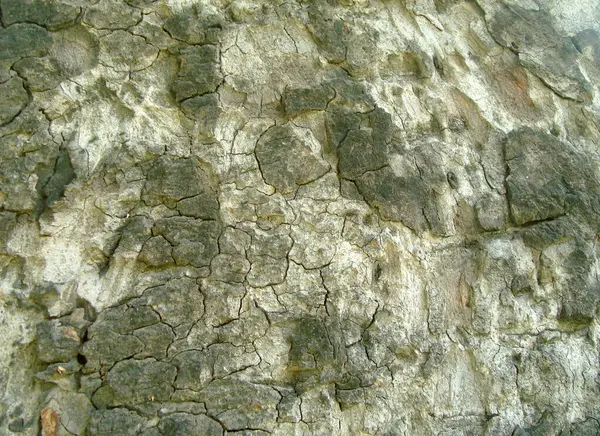 Yüksek Çözünürlüklü Eski Duvar Arkaplanı — Stok fotoğraf