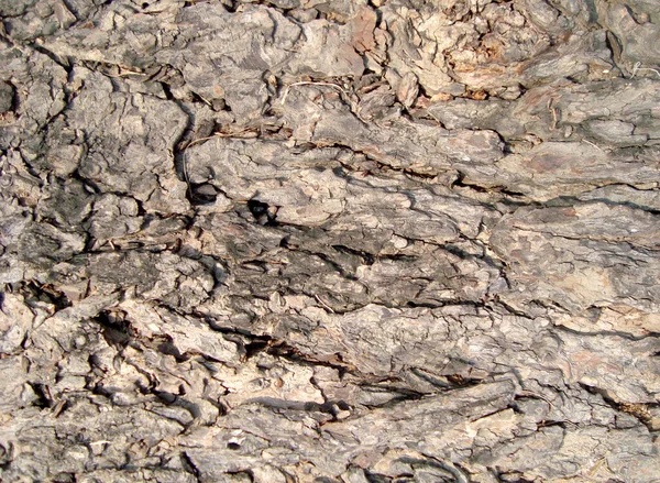 Текстура Старого Деревянного Фона Close — стоковое фото