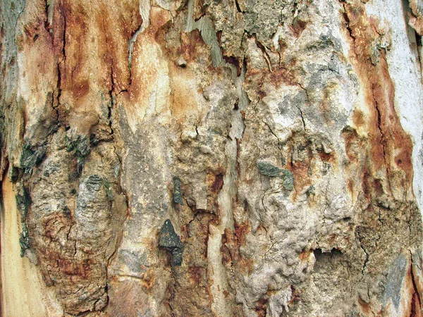 Stara Drewniana Faktura Tła — Zdjęcie stockowe