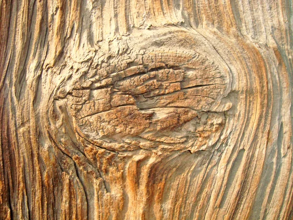 茶色の木の質の背景パターン — ストック写真