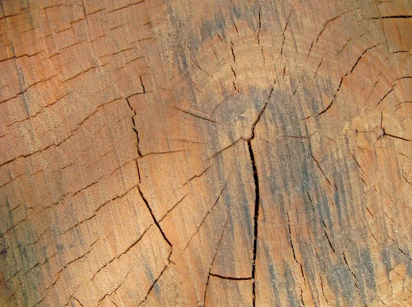 茶色の木の質の背景パターン — ストック写真
