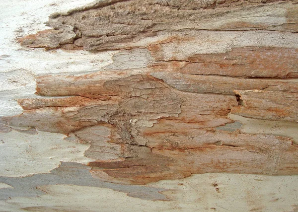Textura Pozadí Vzor Hnědého Dřeva — Stock fotografie