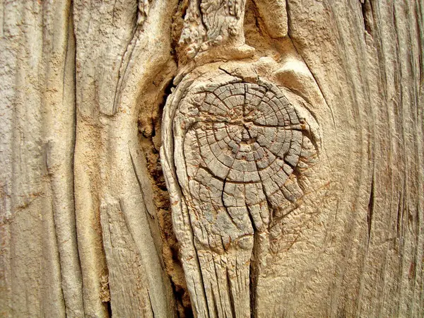 Текстура Фону Візерунок Коричневого Дерева — стокове фото