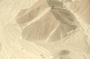 Gizemli çizimleri olan Nazca çizgileri