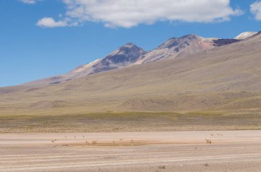Peru altiplanosunun güzel manzarası