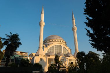 Cami Shkoder, Arnavutluk