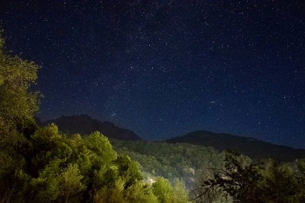Yıldızlar ve ağaçlarla dolu güzel bir gece göğü