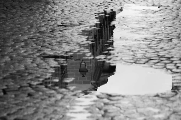 Grayscale Shot Rain Puddle Street — Stock Photo, Image