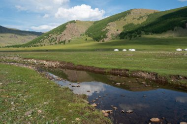 Moğolistan dağlarındaki bir dağ vadisinde nehir, yaz