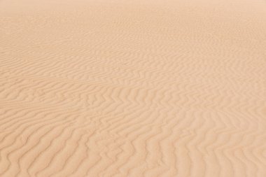 Kum dokusu arka planı. Çöl kum dokusu arkaplanı.