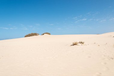 Mavi gökyüzündeki çölde kum tepeleri