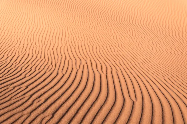 Sanddyn Öknen Med Vackert Mönster — Stockfoto