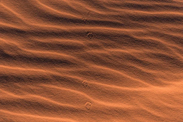 Fotavtryck Sanden Saharaöknen — Stockfoto