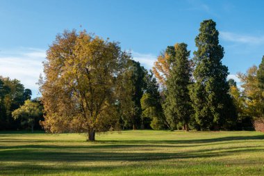 Madrid, Aranjuez 'deki sonbahar parkı