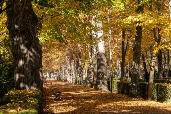 Jesień Parku Miejskim — Zdjęcie stockowe