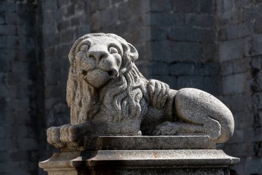 Taşın üzerinde bir aslan heykeli
