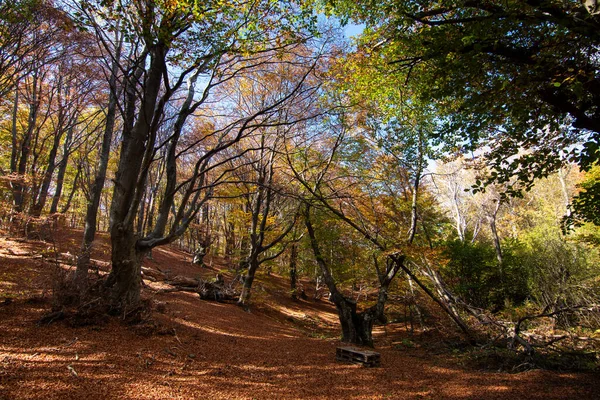 Kolory Światło Jesienią Karandila Góry Bulgaria — Zdjęcie stockowe