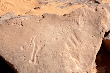 Cezayir, Sahara Çölü 'ne oyulmuş antik aslan veya leopar taşı