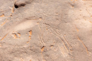 Ceylan zıplayan kaya oyması Sahara Çölü, Cezayir