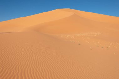 Sahara çölünde en sevdiğim kum tepesi, Cezayir