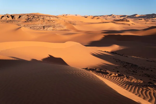 Panorama Duinen Bij Zonsondergang Sahara Woestijn Algeria — Stockfoto