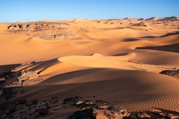 Panorama Des Dunes Dans Désert Sahara Algérie — Photo