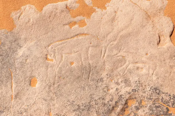 萨哈拉沙漠的羚羊石刻 — 图库照片