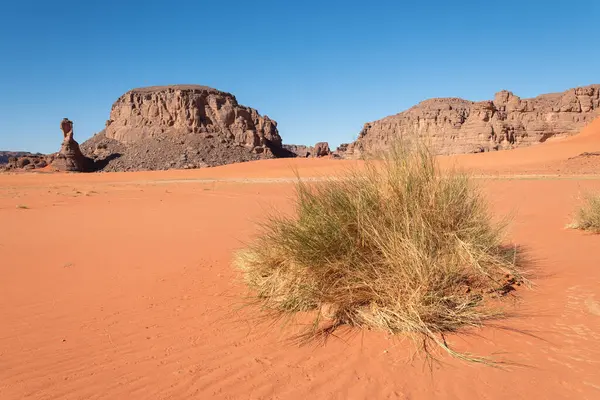 Sahara çölü, iribaş, Cezayir 'de güzel bir manzara.