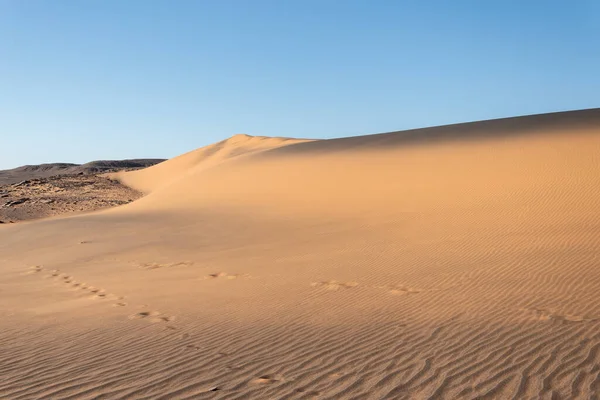 Duin Met Twee Kleuren Sahara Woestijn Algeria — Stockfoto