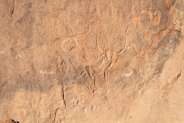 Ağlayan bir grup ineğin kaya oymaları, djanet, Cezayir