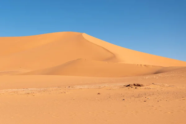 Zandduin Van Woestijn Algeria — Stockfoto
