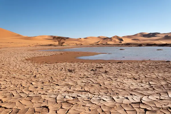 Een Verrassend Meer Het Midden Van Sahara Woestijn Algeria — Stockfoto