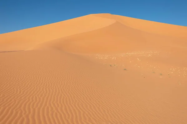 Dune Préférée Dans Désert Sahara Algérie — Photo
