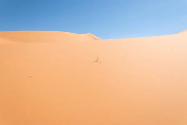 Egy Tökéletes Dűne Szaharai Sivatagban Algériában — Stock Fotó