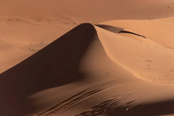 Dune Incredibili Nel Deserto Del Sahara — Foto Stock