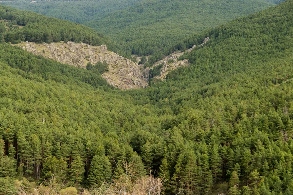 Yazın dağ manzarası