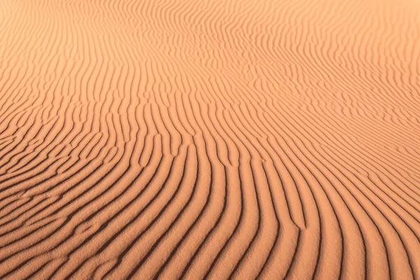 Όμορφη Αμμόλοφος Της Ερήμου Στη Σαχάρα — Φωτογραφία Αρχείου