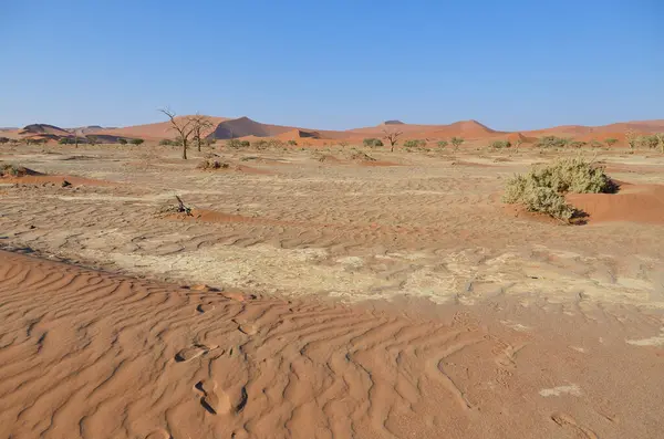 Deserto Del Namib Nel Parco Nazionale Namib Nauklukluft Namibia — Foto Stock