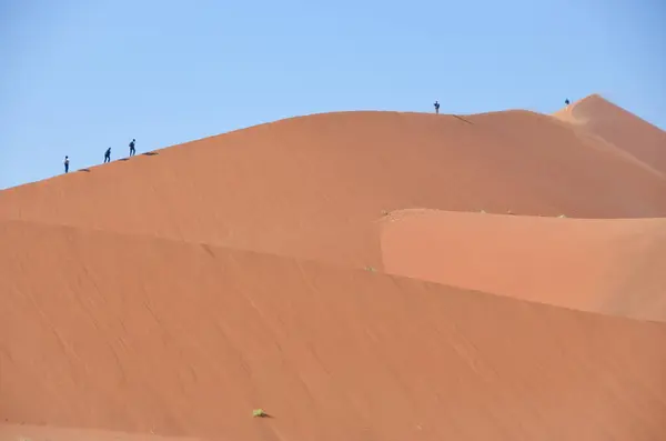 Belles Dunes Désert Namib — Photo