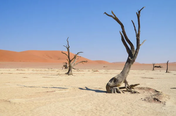 Nationaal Park Namib Naukluft — Stockfoto
