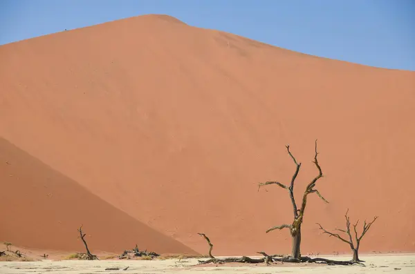 Sossusvlei Namib Kluft Parco Nazionale Namibia — Foto Stock