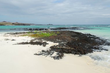 Sahilde ve denizde arka planda güzel mavi gökyüzü var.