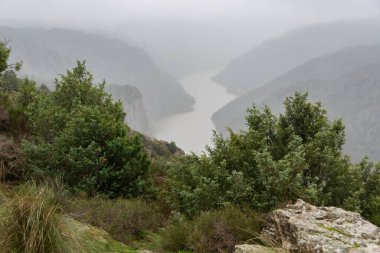 Nehir ve ağaçlarla dolu güzel bir manzara